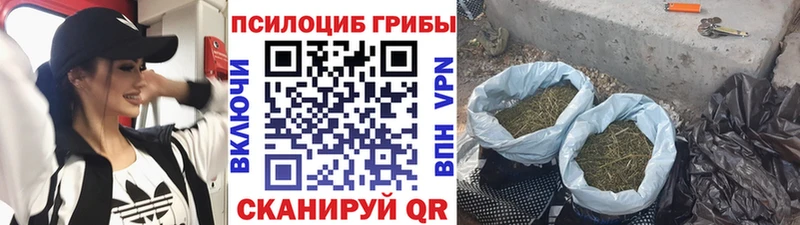 Псилоцибиновые грибы Magic Shrooms  Купить  Тбилисская 